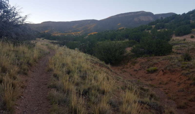 Morning hike in Sandias foothills